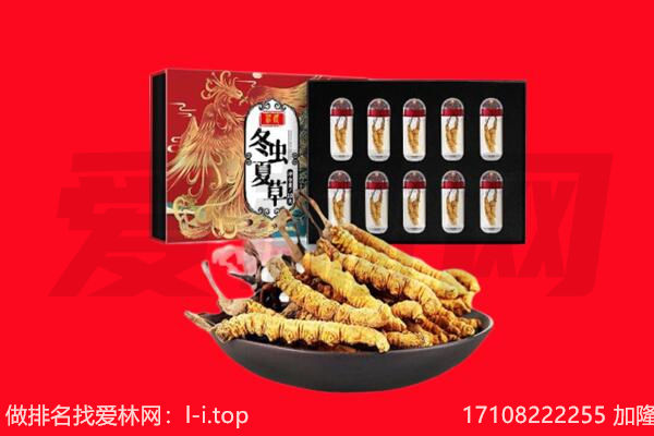 薛城区回收虫草.jpg